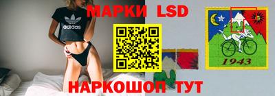 ешки Гай