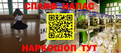 шишки Гагарин