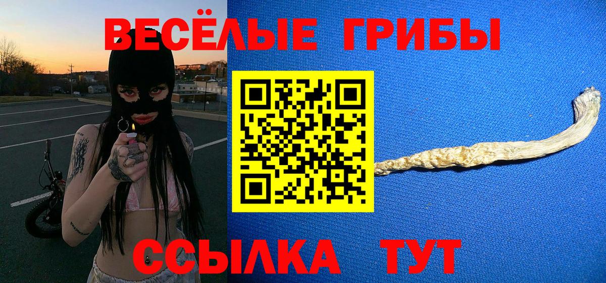 Нурлат  Галлюциногенные грибы прущие грибы  Вход с VPN 